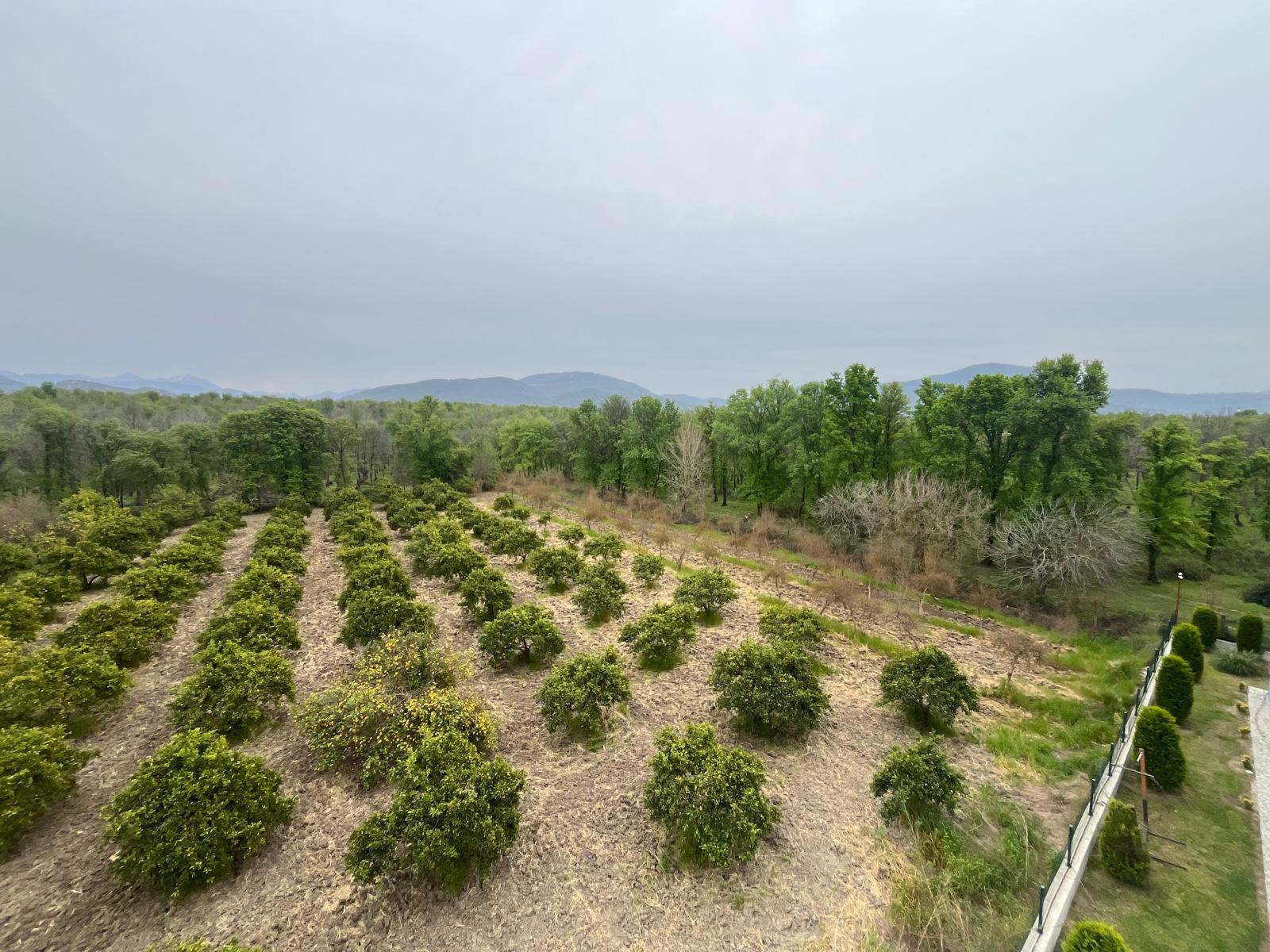 Altıntaş mahallesinde satılık 3+1 çatı dubleks